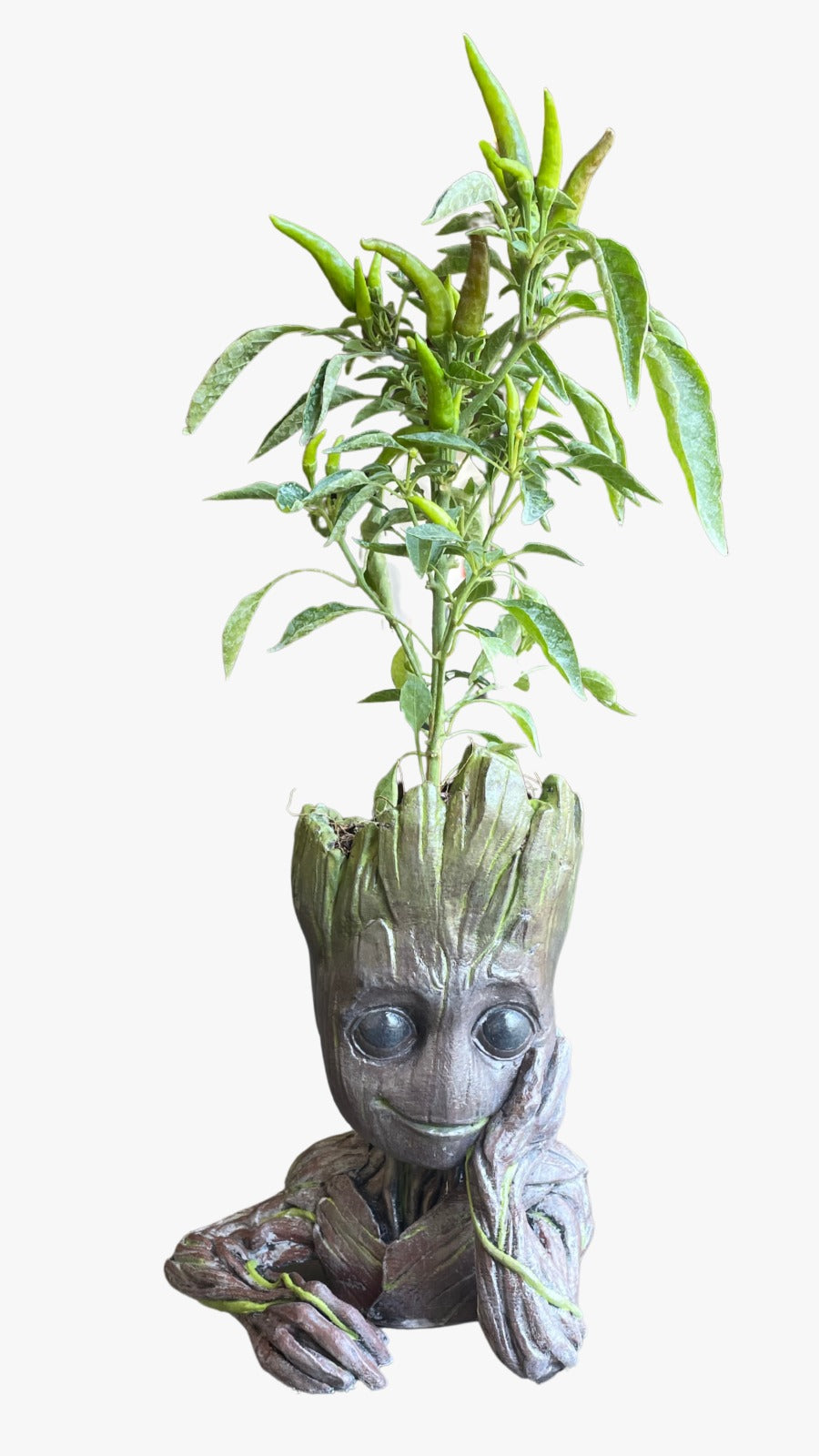 Boyama Atölyesi - 1000 TL