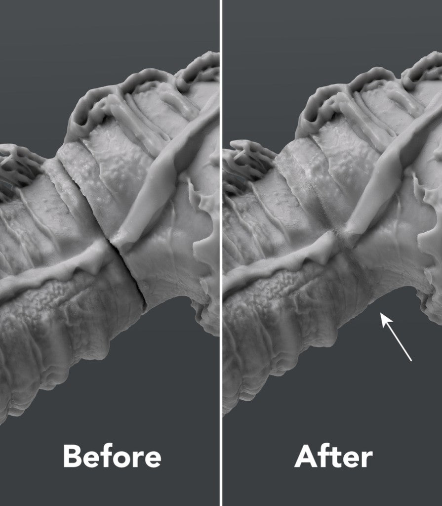 Phrozen UV Clay Tamir Kili